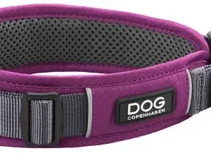 Dog Copenhagen Collier Urban Explorer Lila Pasion – France