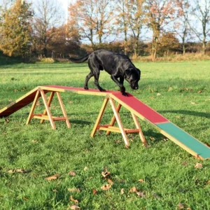 Dog Walk Agility – Trixie J’ai plus de croquettes