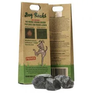 Dogs Rocks J’ai plus de croquettes