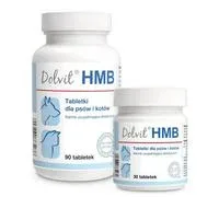 Dolfos Dolvit HMB 90 comprimés x2 – Comparez les prix et achetez sur