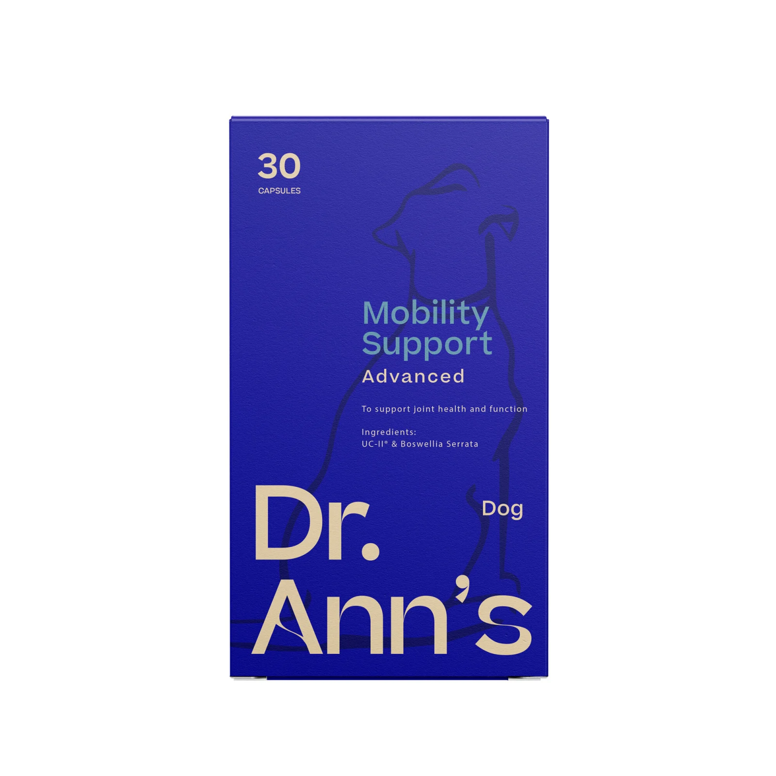 Dr. Ann’s Mobility Support Advanced