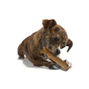 Durable Stick Petstages XS