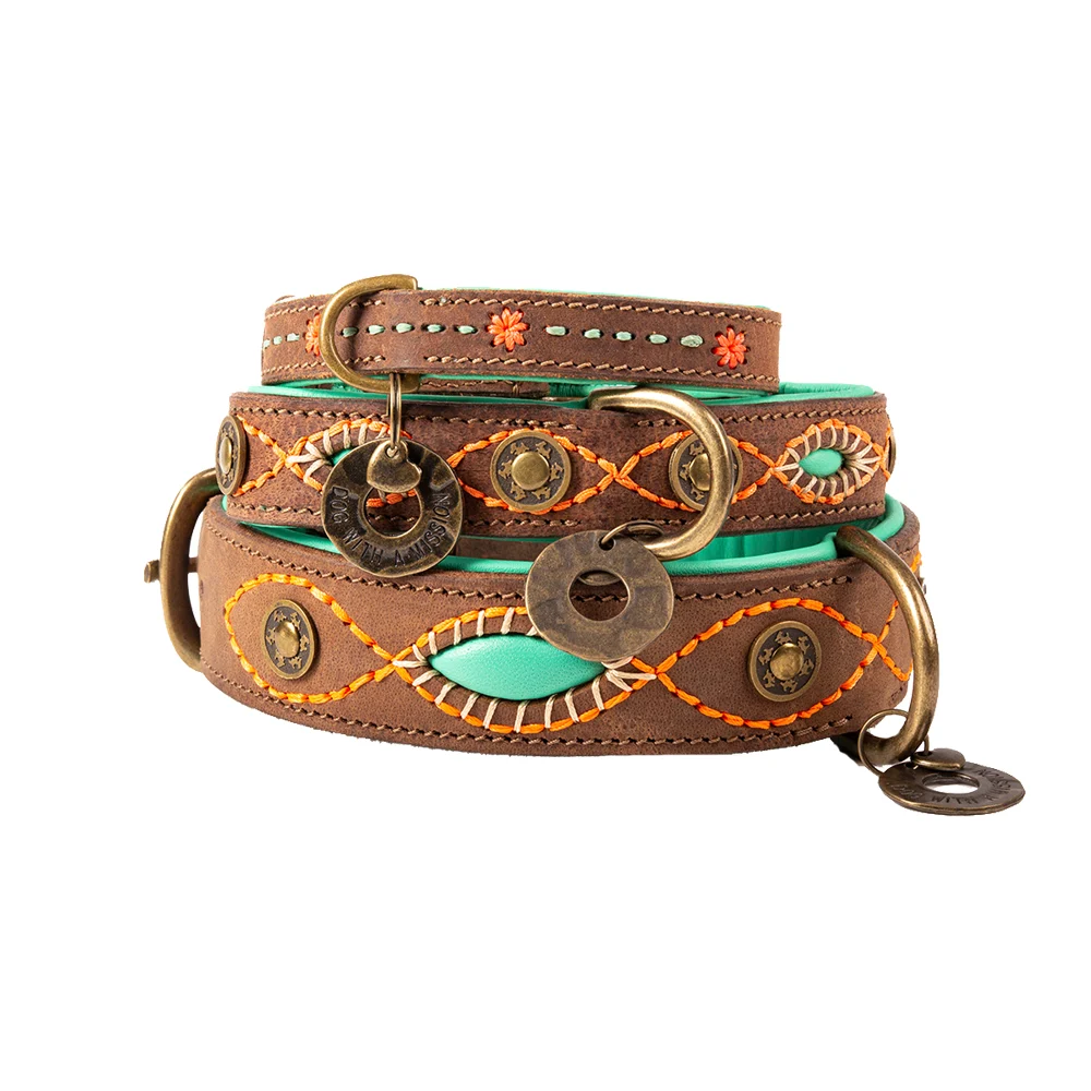 DWAM Joplin | Collier pour Chien