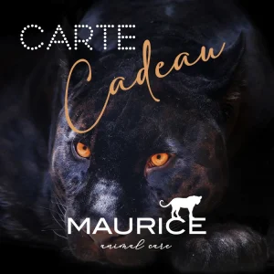 E-carte Cadeau MAURICE