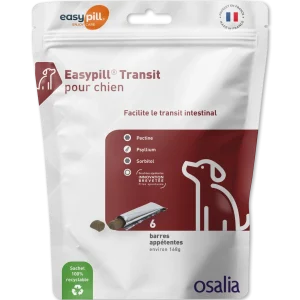 Easypill Transit chien