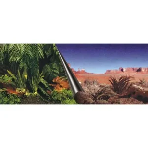 Ebi Fond réversible jungle et désert pour aquariums et terrariums – France