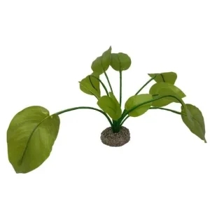 Ebi Planta Artificial Anubias Verde – France