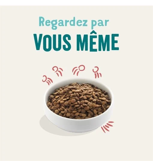 Edgard & Cooper - Croquettes au Poulet et Saumon pour Chien - 2,5Kg - Image 2