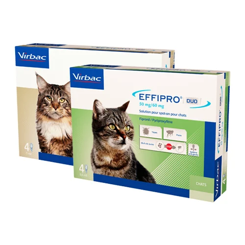 Effipro Duo Chat | Pipette Spot