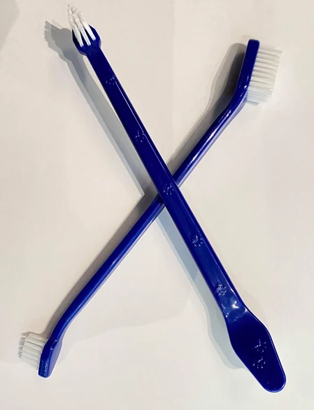 Ensemble brosses à dents pour chat et chien, Bluestem - Image 2