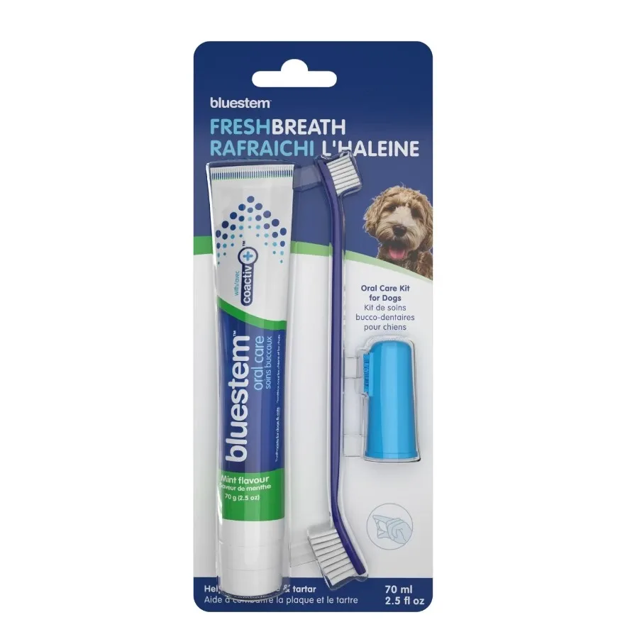 Ensemble dentaire vanille menthe pour chien, Bluestem