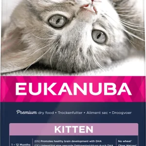 Eukanuba Kitten au poulet pour chaton