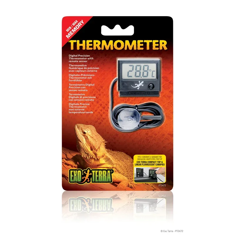 EXO TERRA Thermomètre Numérique pour Reptiles