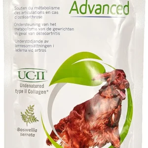 Flexadin Advanced Chew Original articulations chien