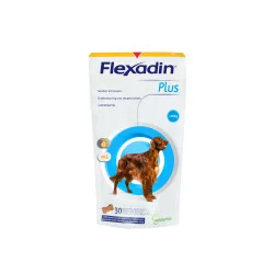 Flexadin plus maxi