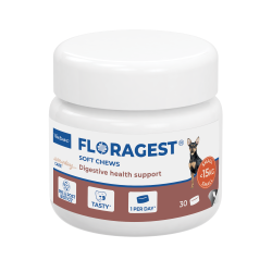 Floragest Chien