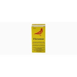 Floramue Oiseaux
