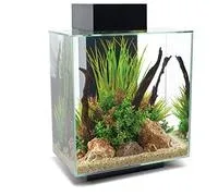 fluval aquarium équipé edge – 46 l – noir Noir – Comparez les prix et achetez sur