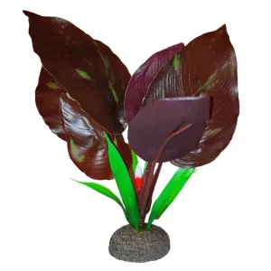 FLUVAL Betta Plante Saurure Penchée 6″