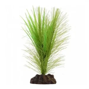 Fluval Plante Valisneria – France