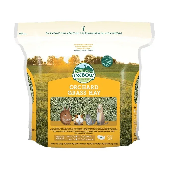 Foin Orchard Grass rongeur - Image 2