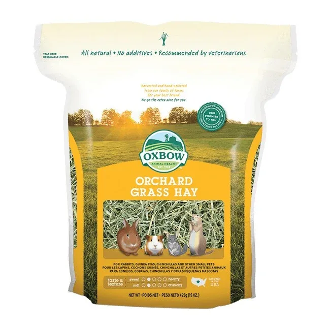 Foin Orchard Grass rongeur