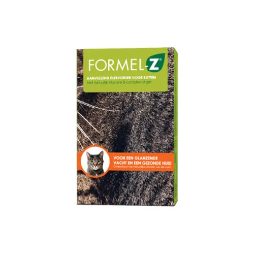 Formel-Z Chat - Image 2