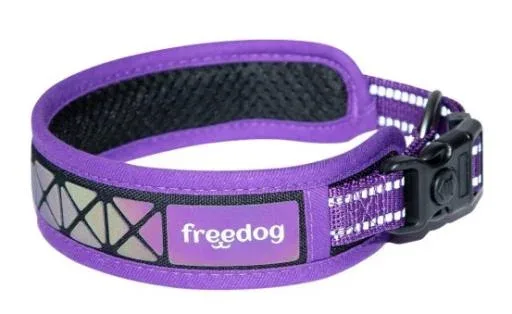 Freedog Collier Boreal Purple pour chiens – France