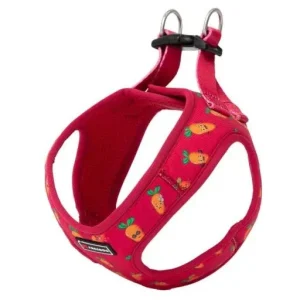 Freedog Harnais imprimé carotte pour chiens – France
