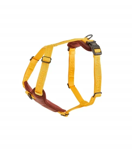 Freedog Harnais Linum Yellow Sunrise pour Chiens – France