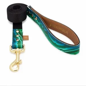 FriendshipCollar Antiparasitaire Naturel pour les Parasites Intestinaux – France