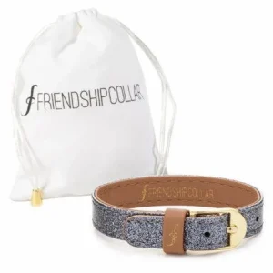 FriendshipCollar Bracelet Sparkling Pup – Glitter Silver Bracelet – France