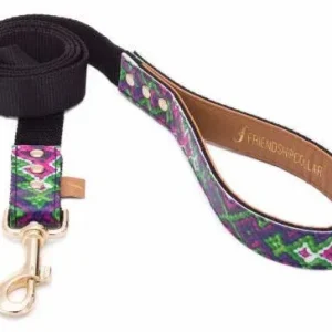 FriendshipCollar Laisse All Bark – No Bite 5ft Leash – France