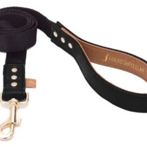 FriendshipCollar Laisse Classic Pup – Jet 4ft Leash – France