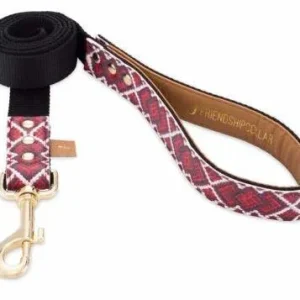 FriendshipCollar Laisse Man’s Best Friend 4ft Slim Leash – France