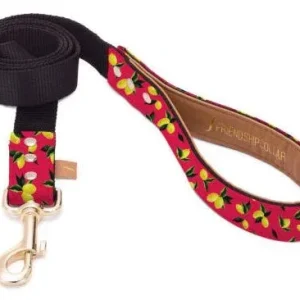 FriendshipCollar Laisse Sicilian Lemonade – 4ft Slim Leash – France
