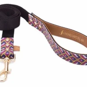 FriendshipCollar Laisse The Mischief Maker 4ft Leash – France