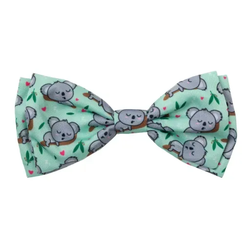 FuzzYard Nœud papillon Dreamtime Koalas – France