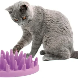 Gamelle anti-glouton avec Picots pour chat