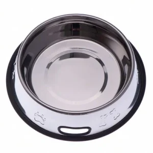 Gamelle en inox pour chien
