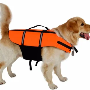 Gilet de sauvetage pour chien