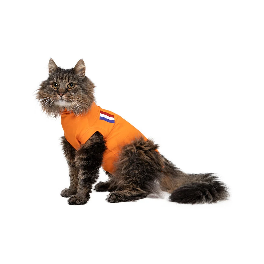 Gilet Orange Chat Medical Pet Shirt