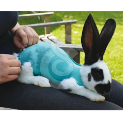 Gilet Safety Tube VetMedCare pour PA et NAC