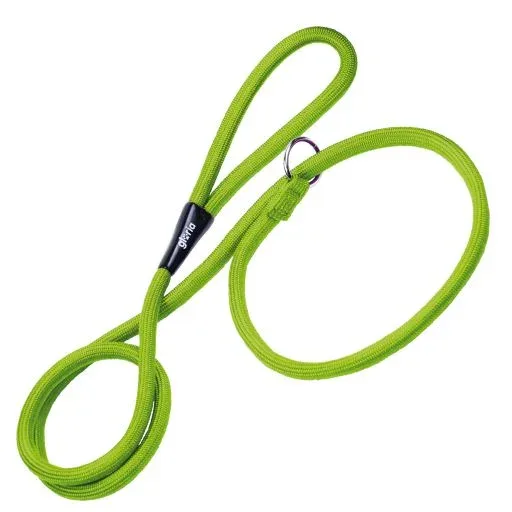 Gloria Pets Laisse et collier d’entraînement verts – France