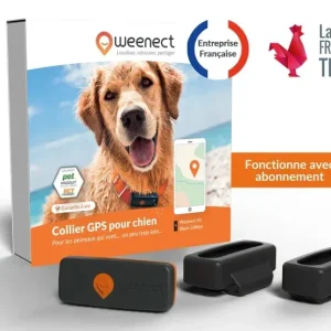 Gps Weenect Chien