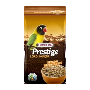 Grandes Perruches African