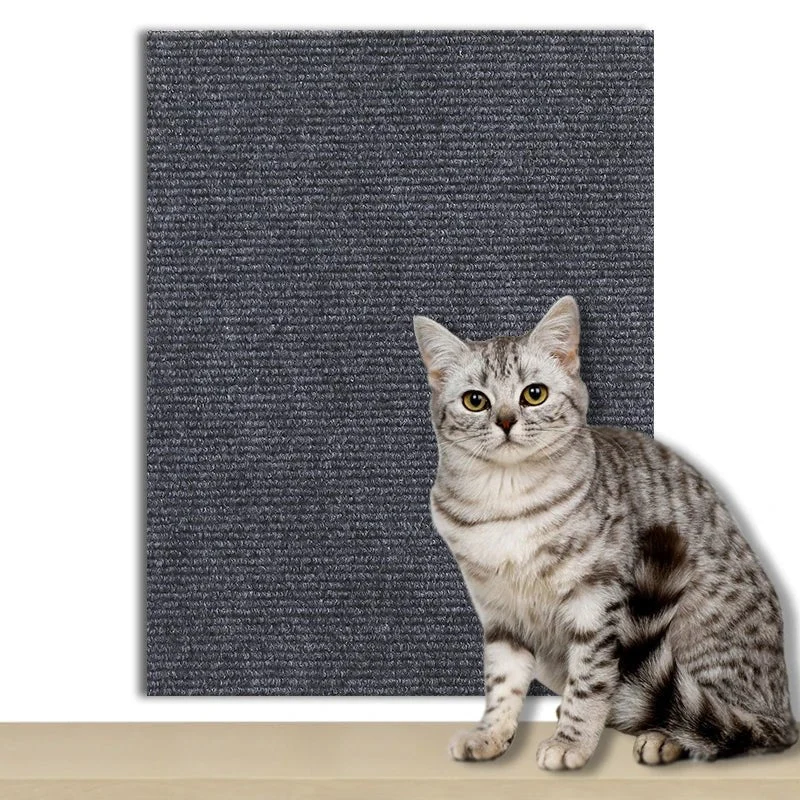 Griffoir Chat Protection Autocollant