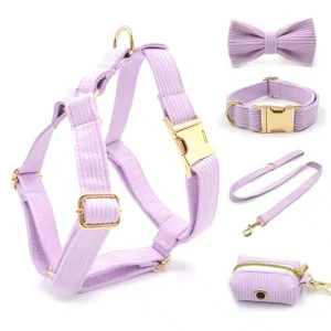 Collier et laisse côtelé rose pour chien à personnaliser