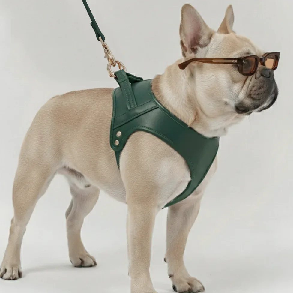 HARNAIS CHURCHILL. Vert Sapin – Harnais chien cuir vegan rembourré