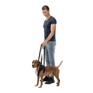 Harnais d'aide à la marche chien